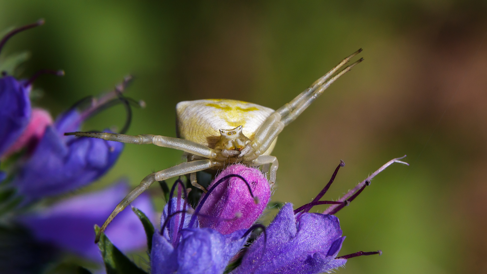 2021_06_22_11-01-35_00093