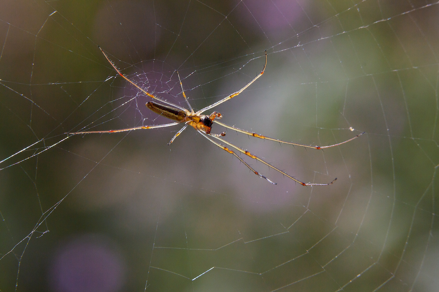 2021_07_19_08-57-44_00158