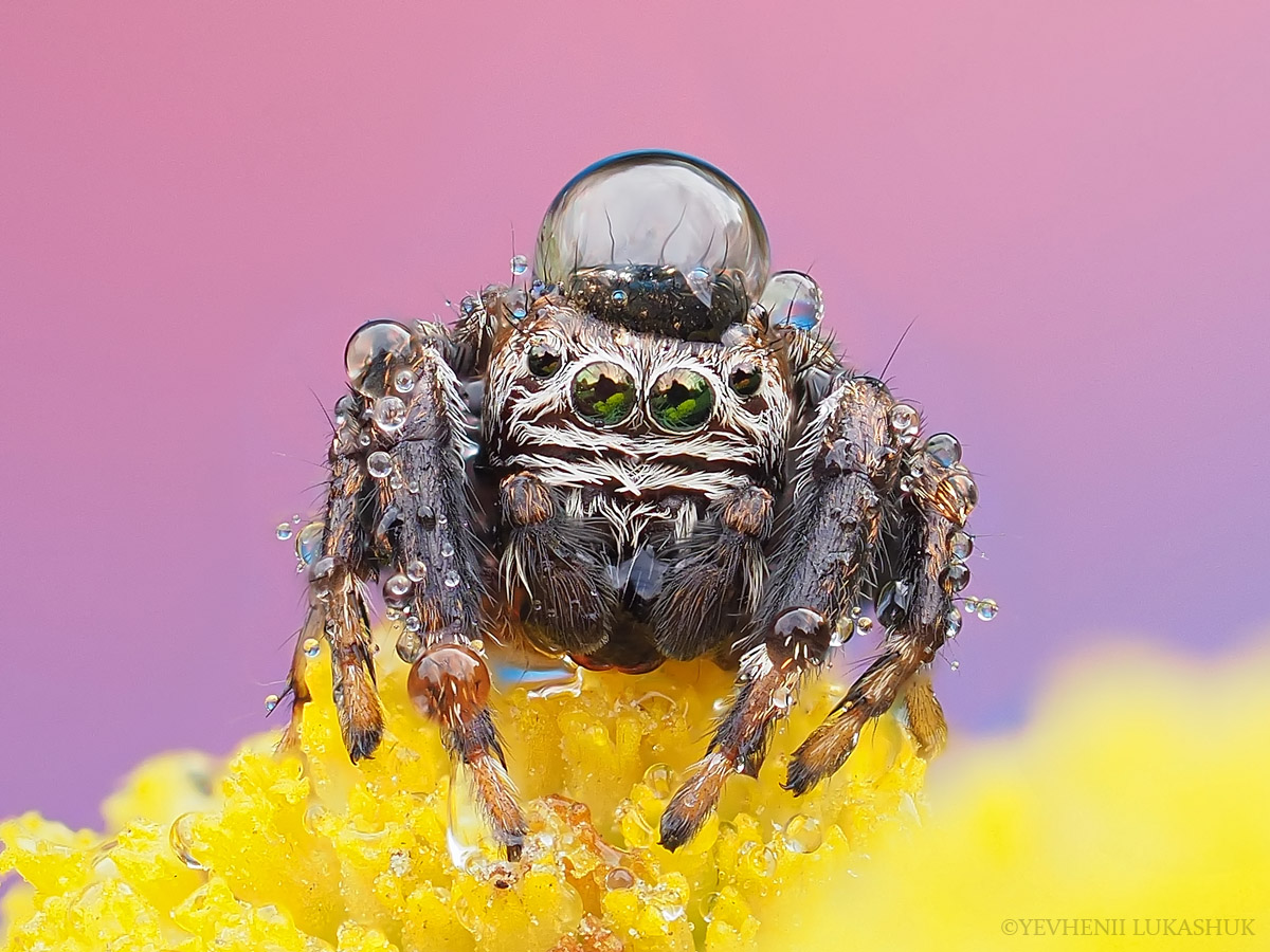 2022-08-27_11-52-29_B_R6_S10_