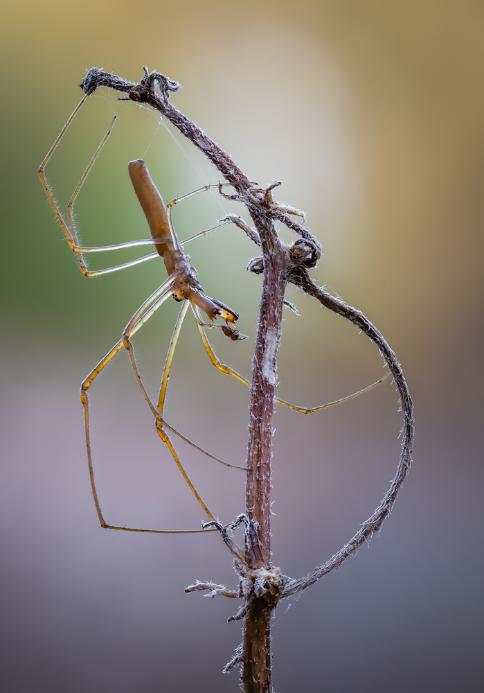 2024-10-27_00-23-54_B_R2_S4_1_edited