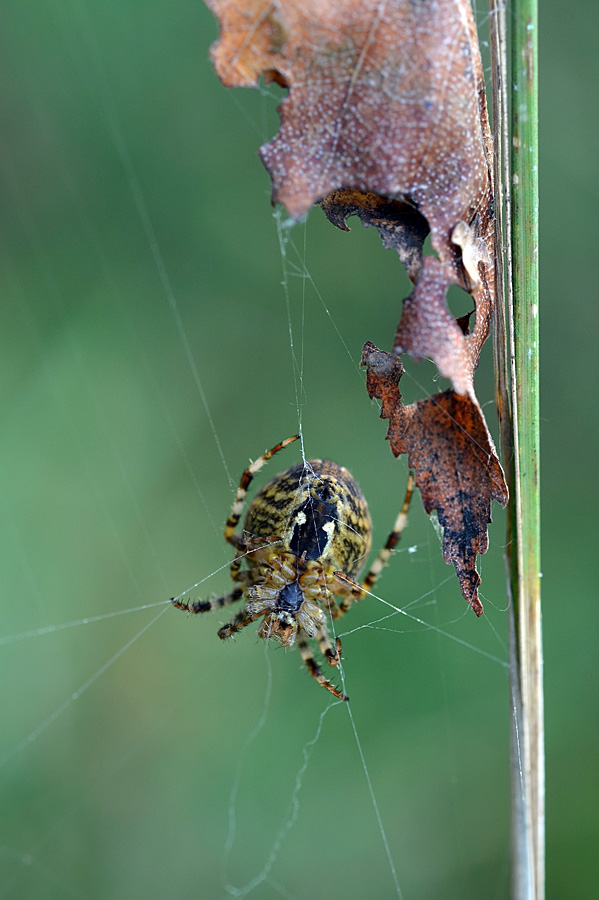 235_-_Copy_2_edited-4