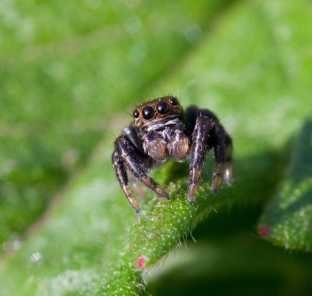 5740207496_f4e73a7607_z