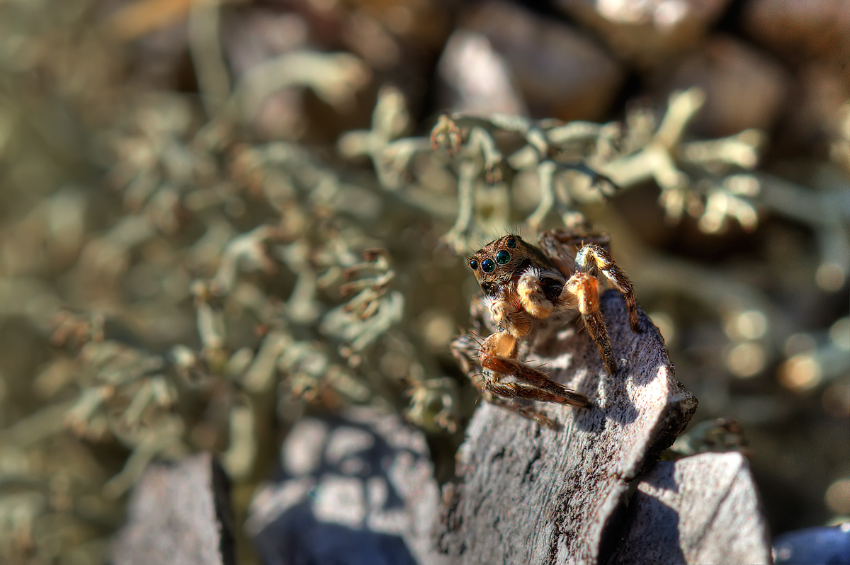 DSC_0816_7_8_tonemapped