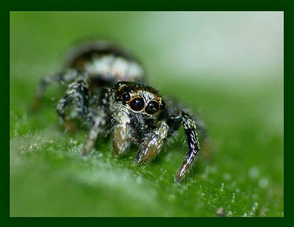 F23DF929-B61A-434E-9275-280602F9DFC2