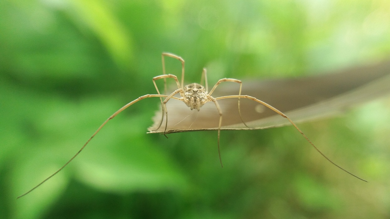 IMG_15042020_190405_1244_x_700_