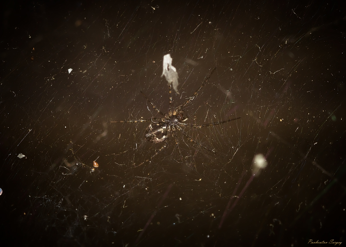 IMG_6452ps_sRGB_small_2