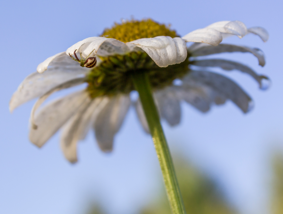 MG_60812014_-_-_-_-_-3--1123_850--423_