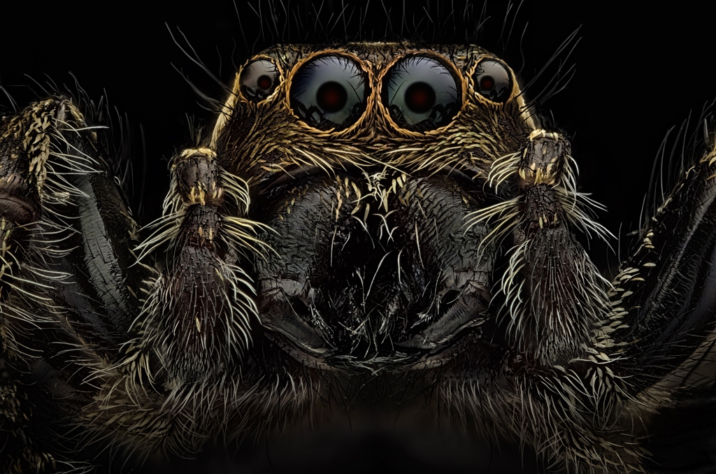 sokl-juodasis-2-1024_RU