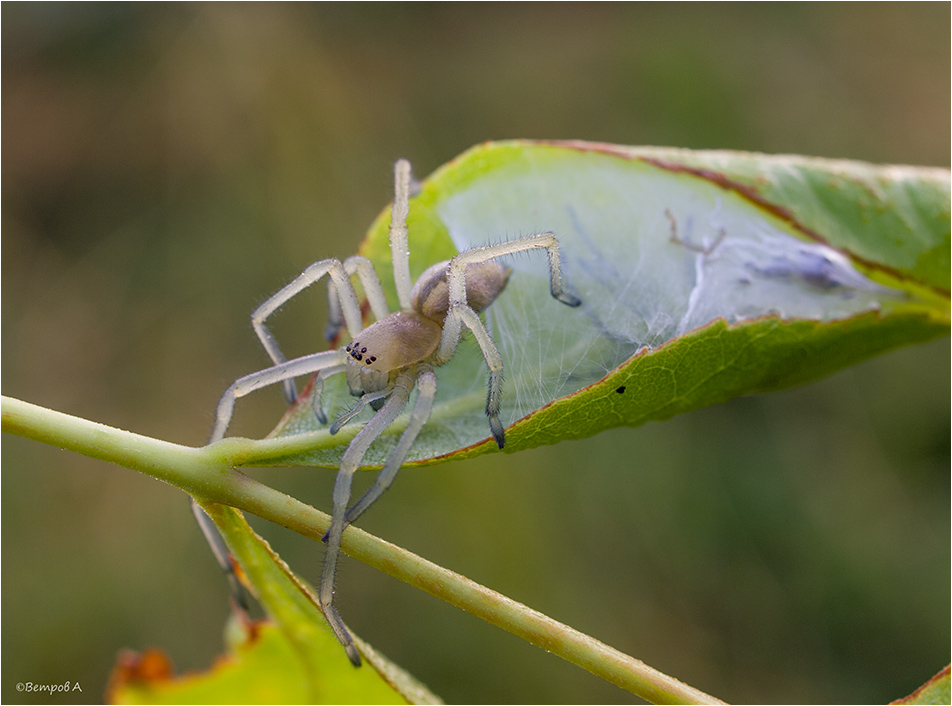 ya_vyshla_iz_doma-res