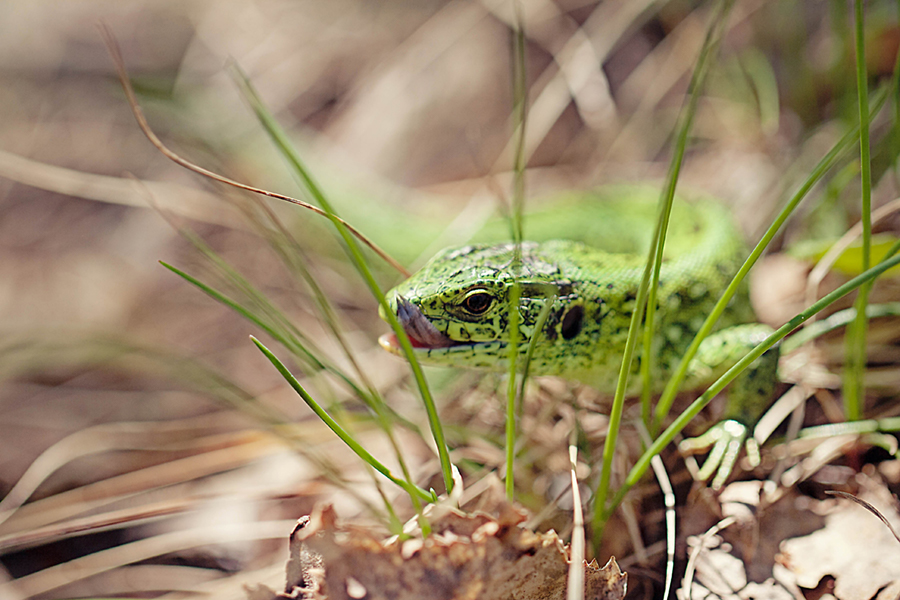 20140509-_MG_1109-done
