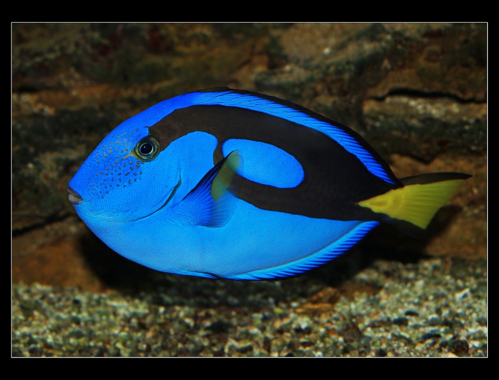 P1019861_2_1_1_1024x768_