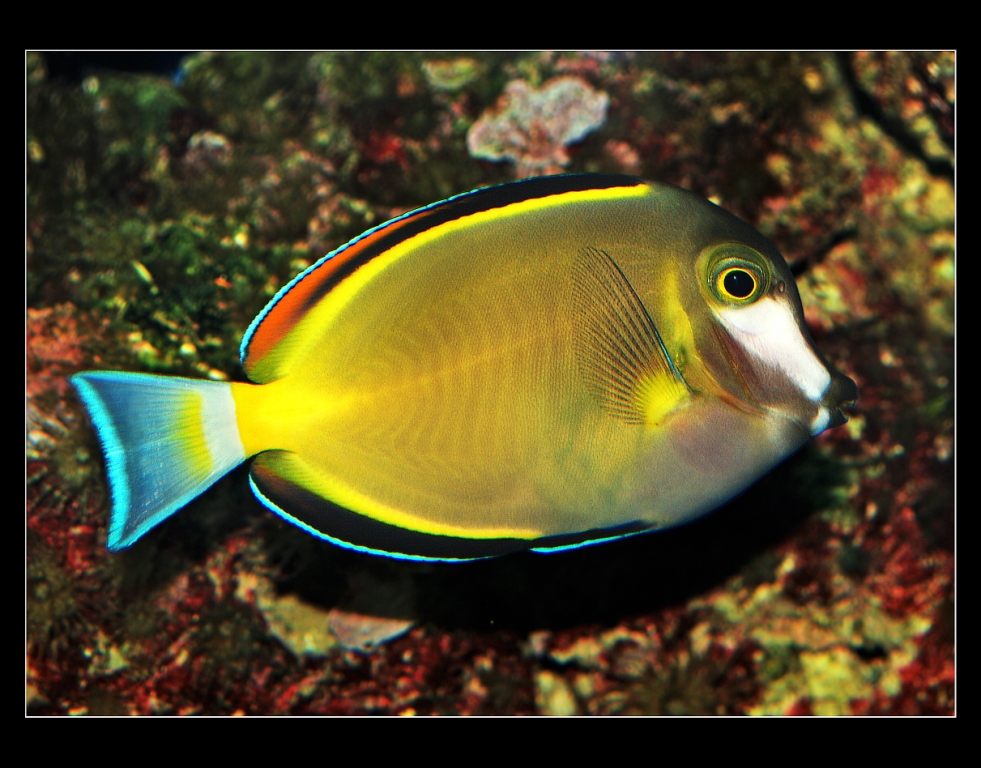 P1019878_1_1024x768_