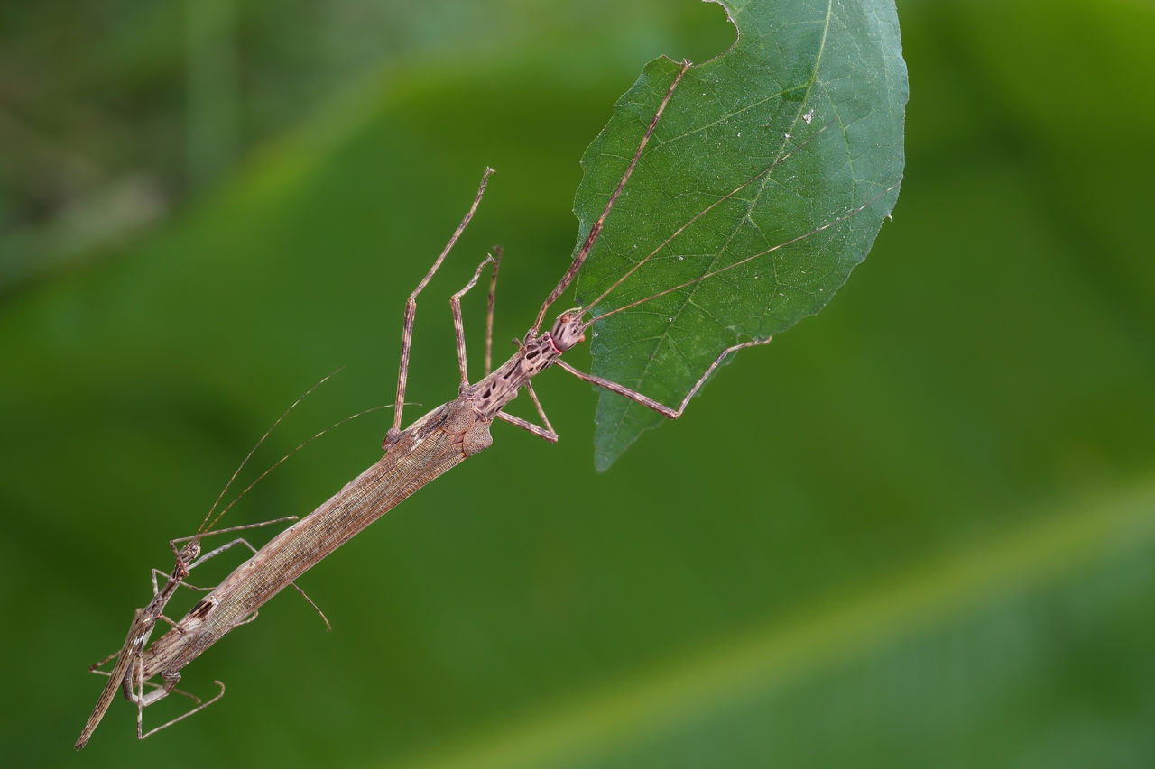 2016-11-28_22-02-22_M_A_R_11_S_4