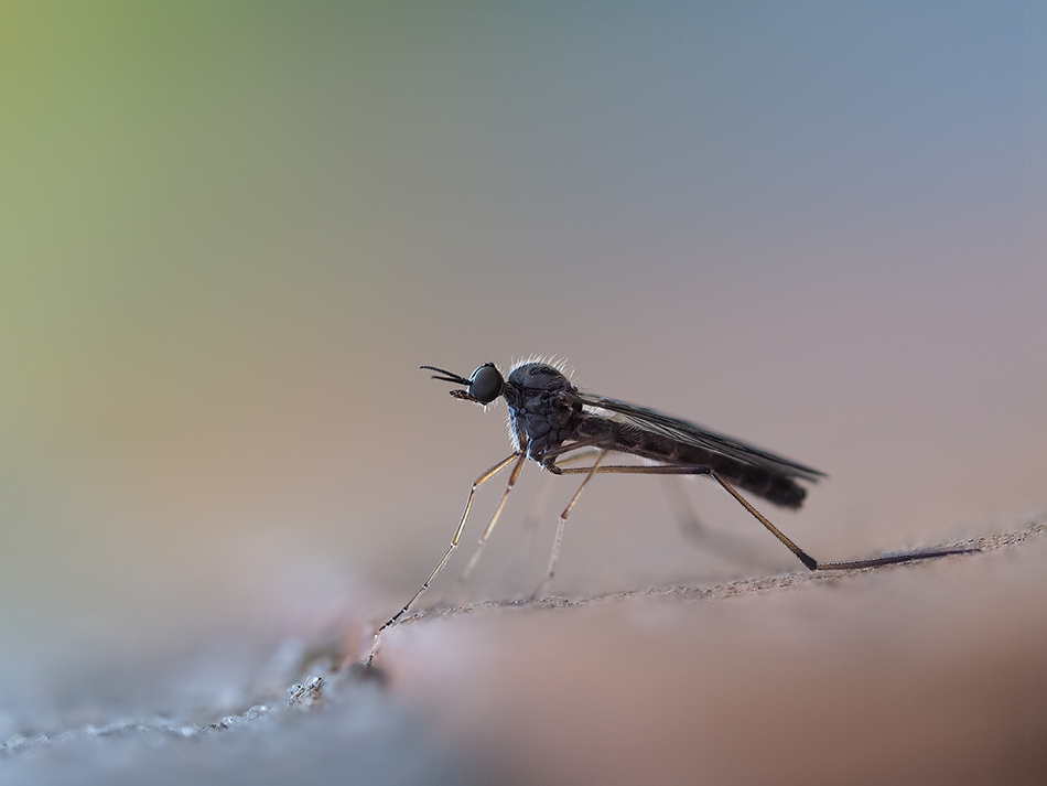 2018-10-15_20-01-28_M_A_R_10_S_4_