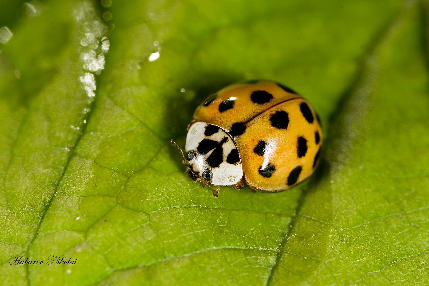 IMG_20220926_2141541