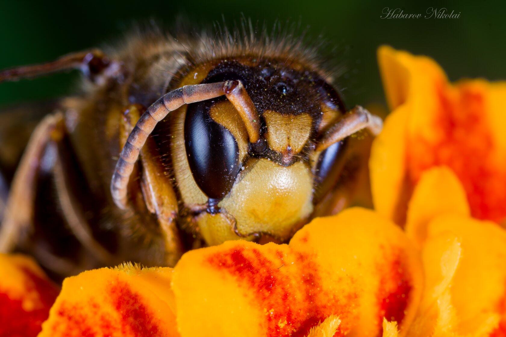 IMG_20220926_2143291