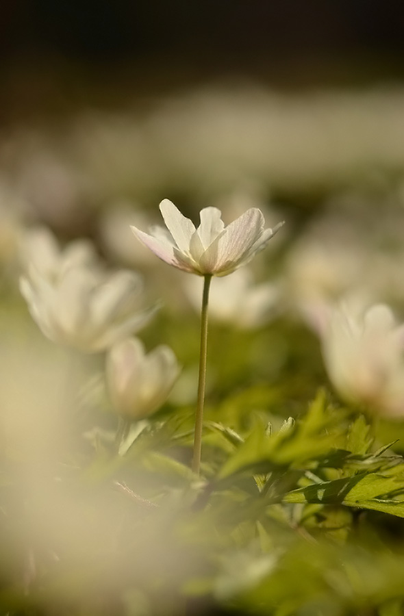 042_edited-6