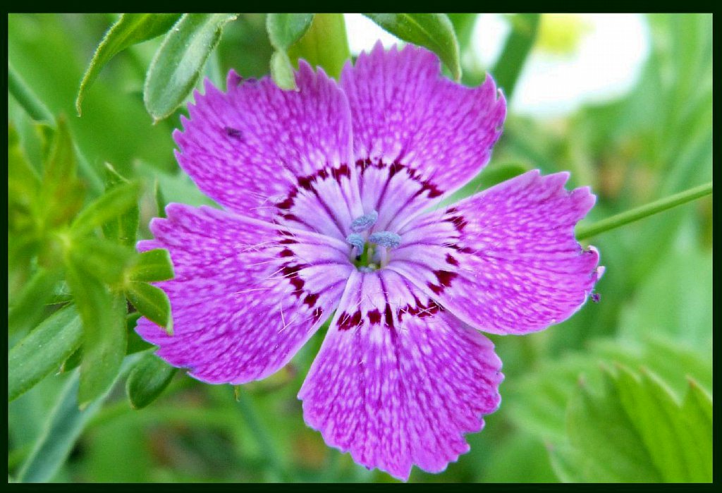 0720B5CA-F644-4E1C-A4B7-CCDDBD4C3DE4