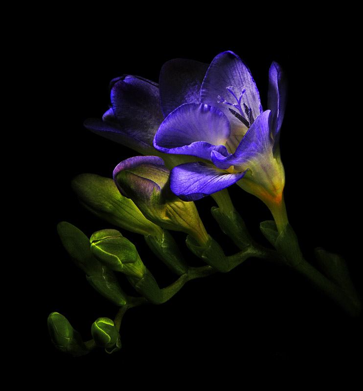 091103_0156-4_-_2009-_