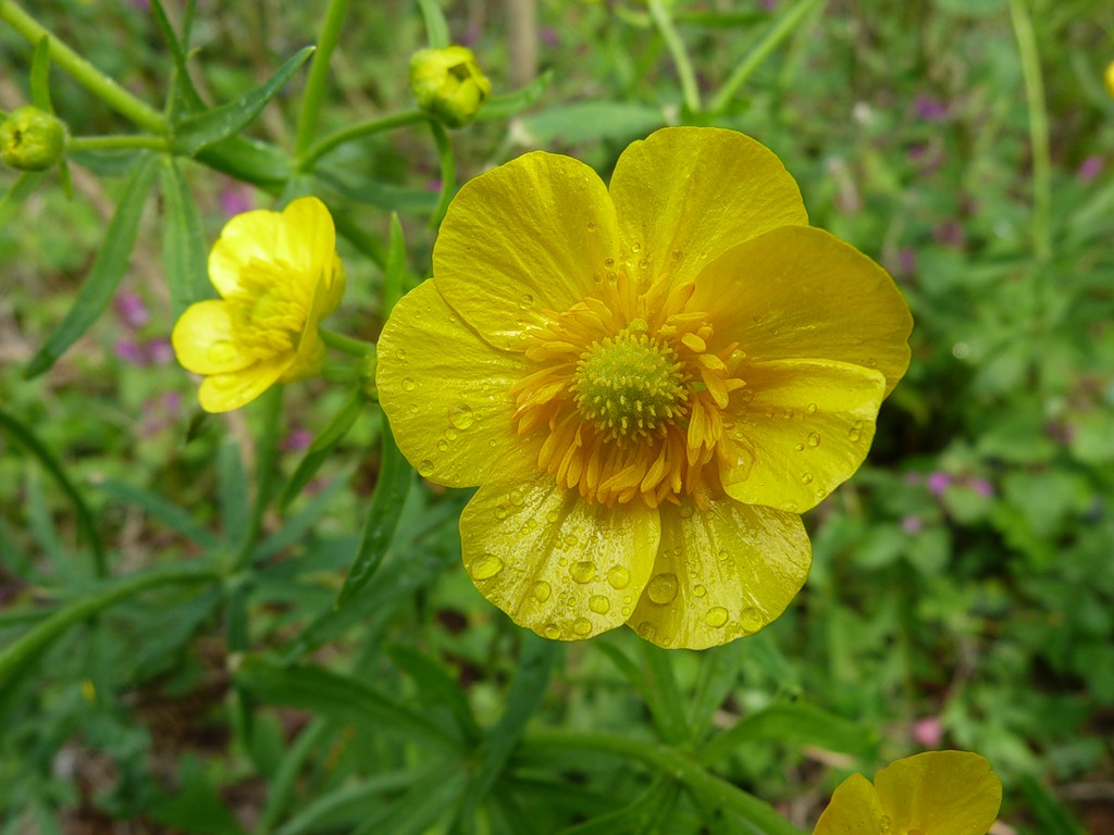 0_599b3_13f817c2_XXL