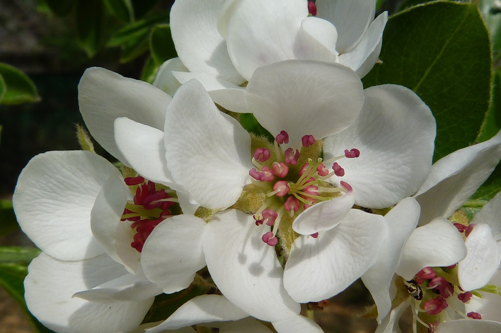 0_599c2_8ed05848_XXL