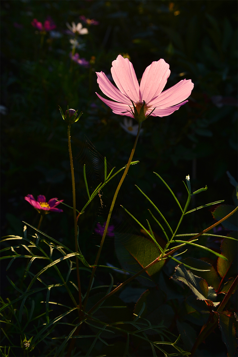 0_b5964_aff3461e_orig