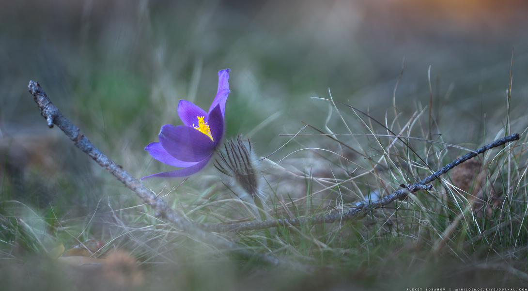 0_b93c5_fadfe55e_orig