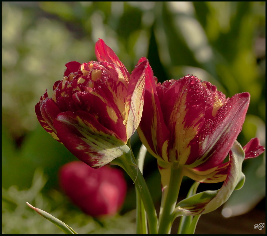 0_d17ef_a6e06a40_orig