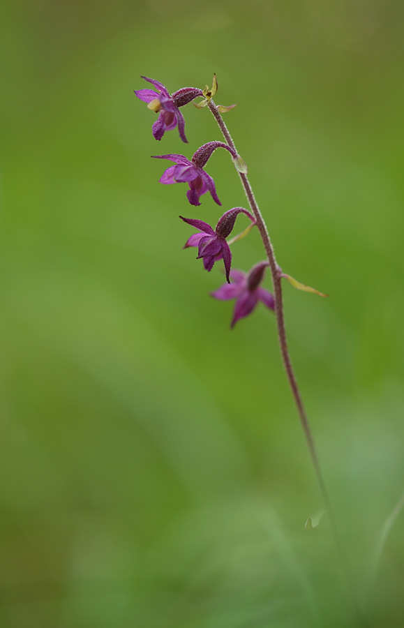 1029_-_Copy_edited-1