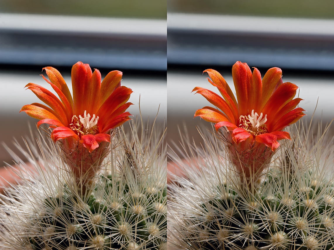 12-06-23_163905_M_A_R_8_S_4