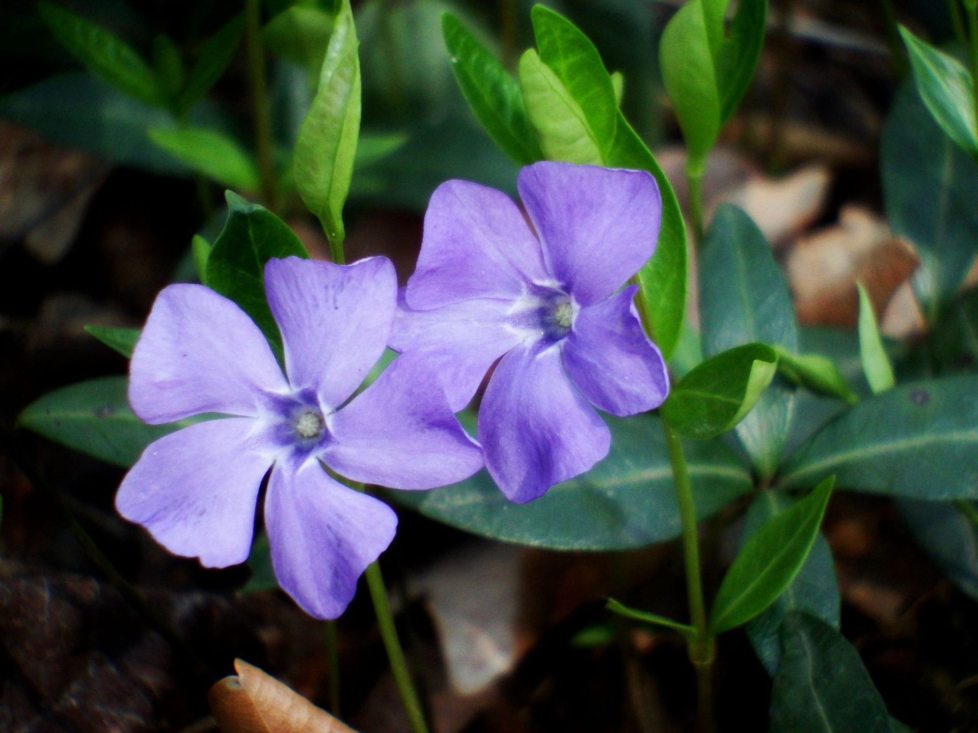 18056172_1384626008249752_7400085070188250335_o