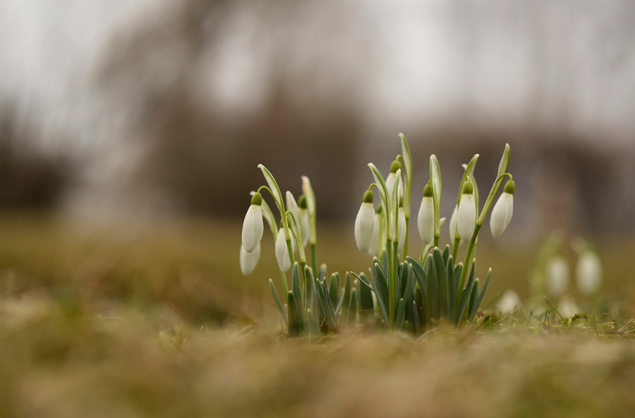 198_-_Copy_2_edited-1