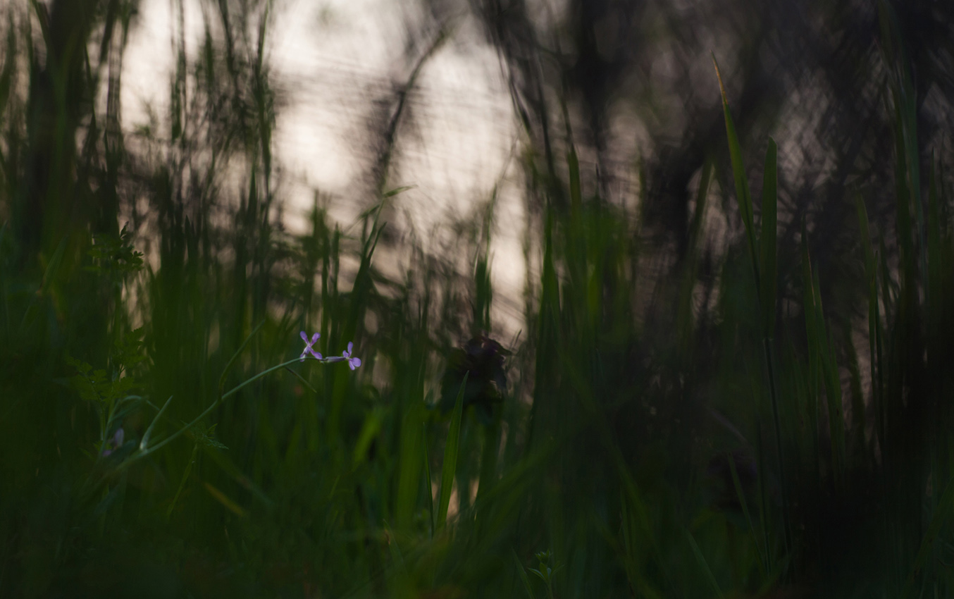 1_2_20190426-IMG_6836