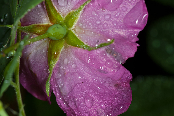 2011-06-13_12-36-34-2_copy