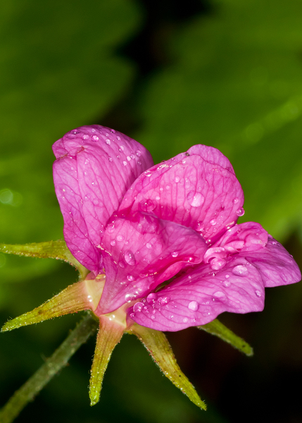 2011-06-13_13-15-05_copy