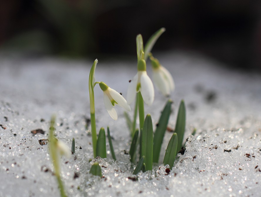 20120415_163320_MG_4484_web