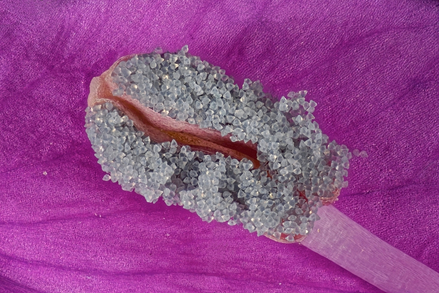 2017-07-16_16-10-34_M_C_R_1_S_1_filtered_4_