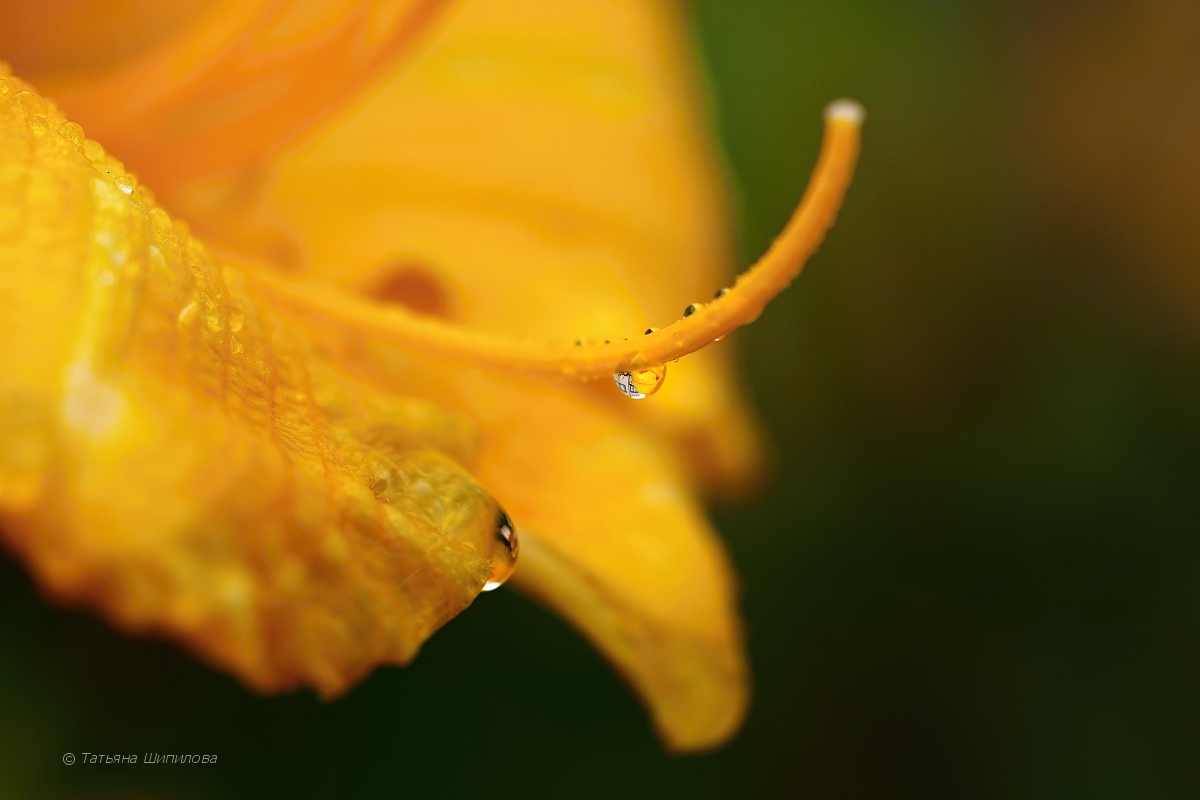 2017-08-07_17-04-05_9