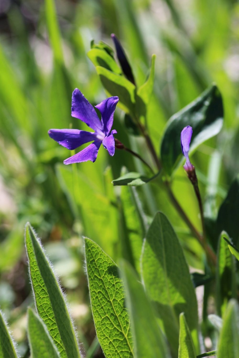 20170427143641_IMG_5502-01