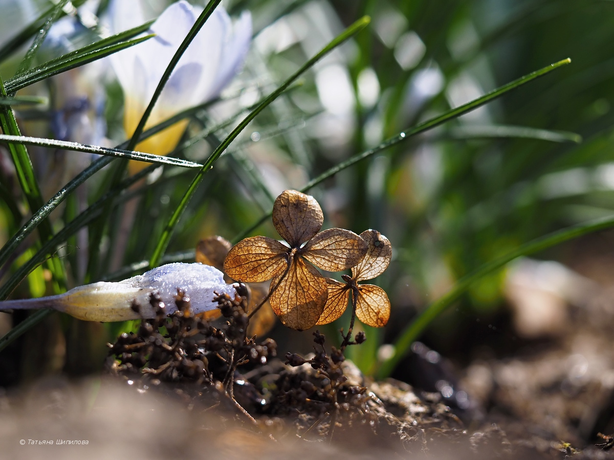 2018-04-29_13-08-56_3_