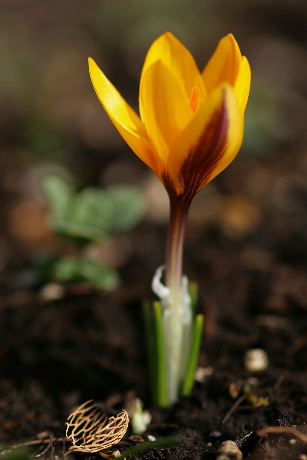 20180215133729_IMG_8593-01-1024x1535