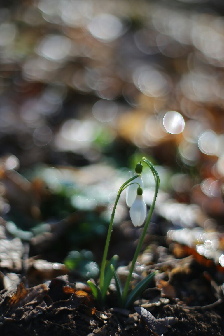 20180222105928_IMG_8905-01-768x1152