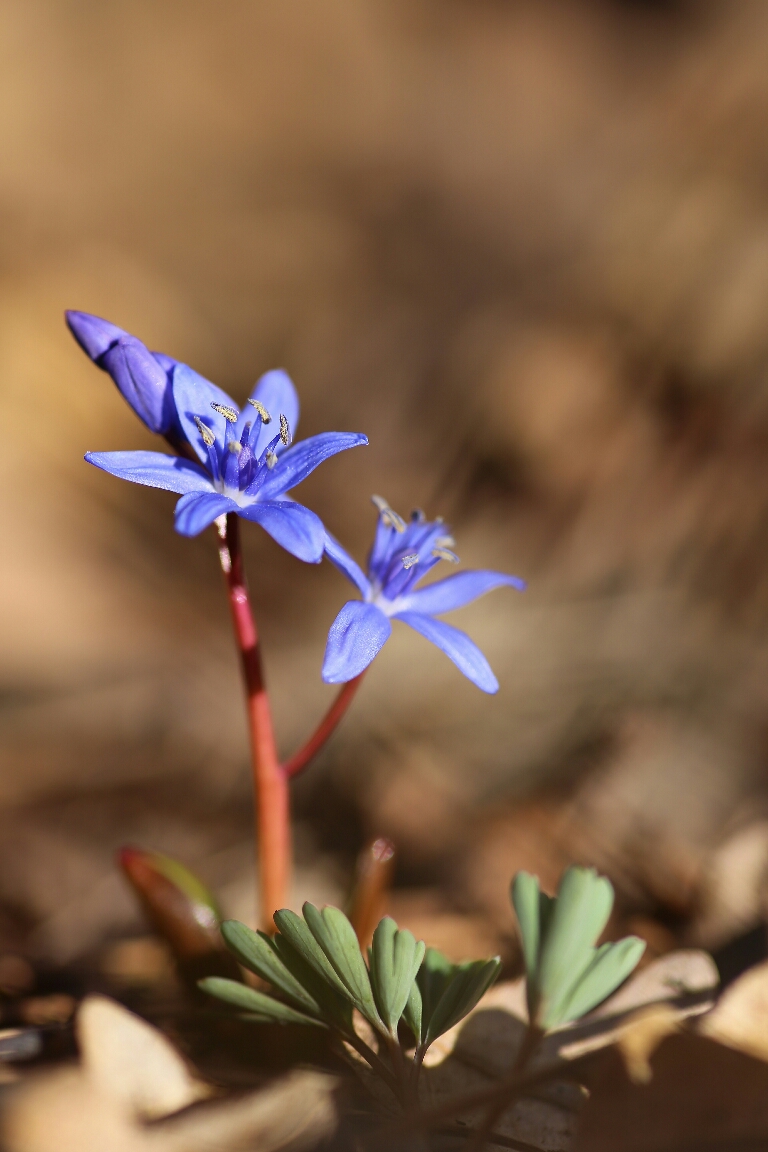 20180312100604_IMG_9367-01_768x1152