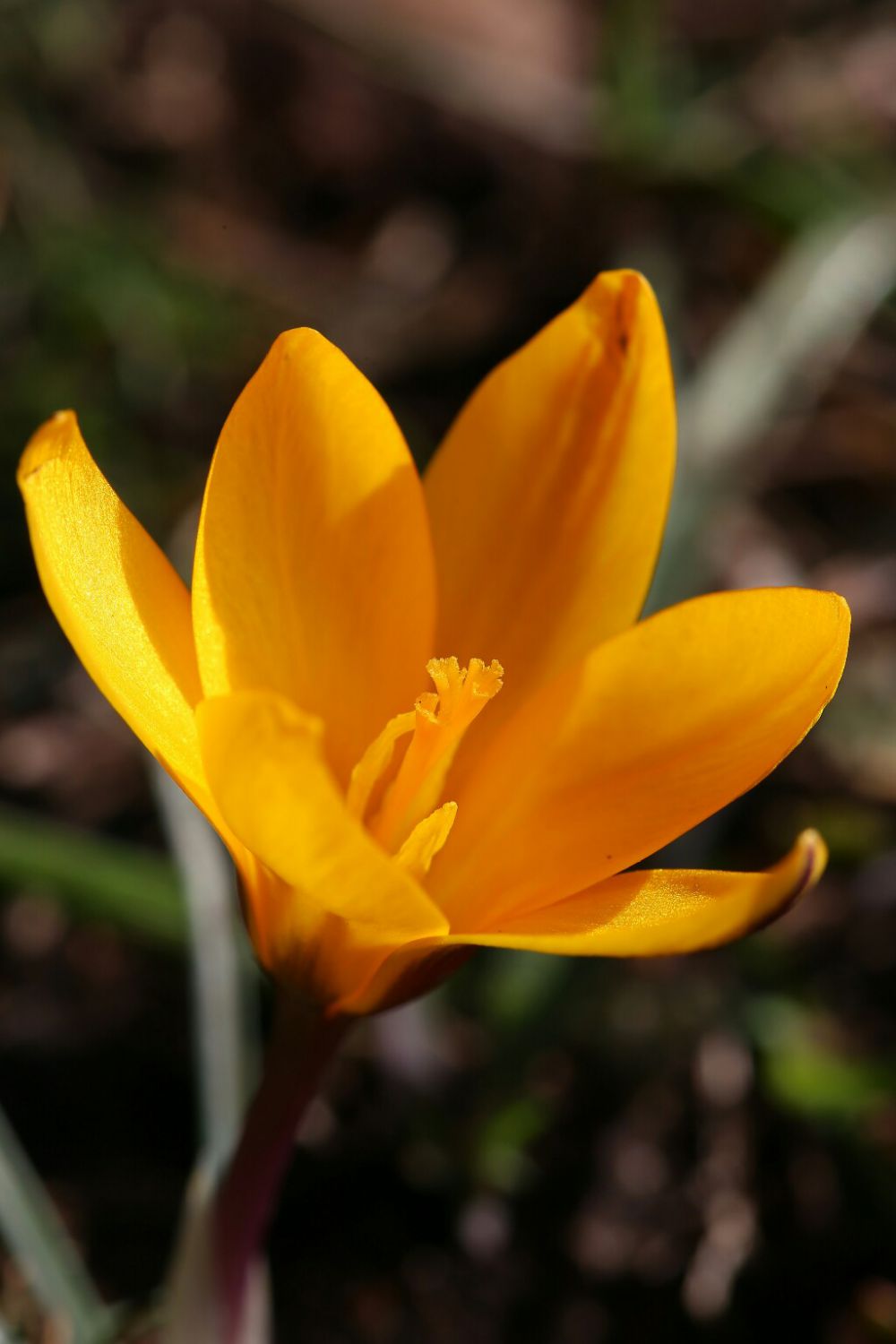 20180312111300_IMG_9378-01-1024x1536