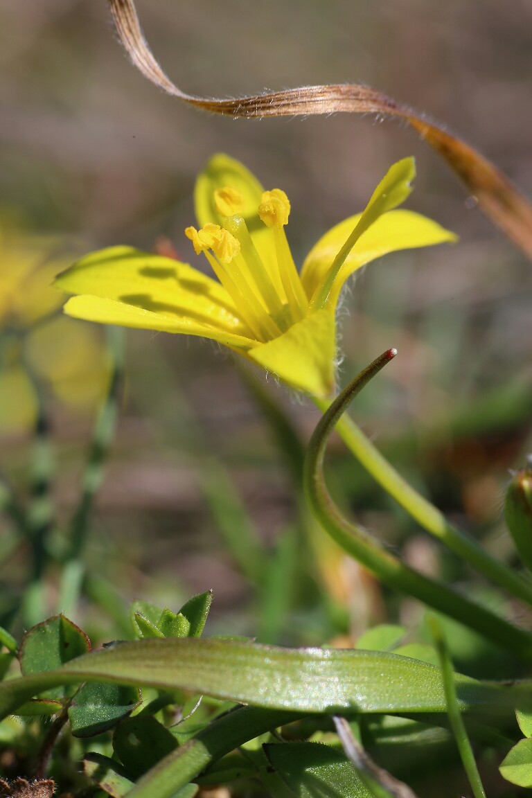 20180312123145_IMG_9383-01-768x1152