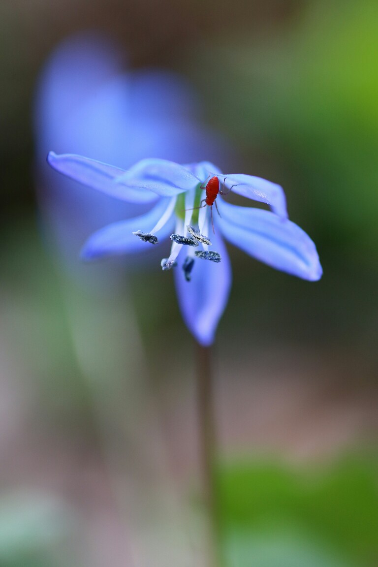 20180405165822_IMG_9760-01-768x1152