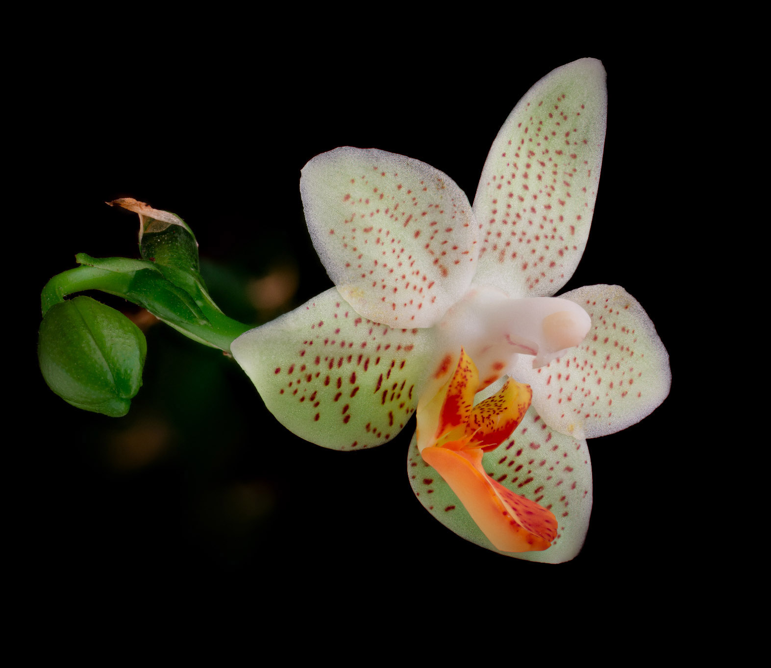 2021-12-16-21_01_24_ZS_PMax