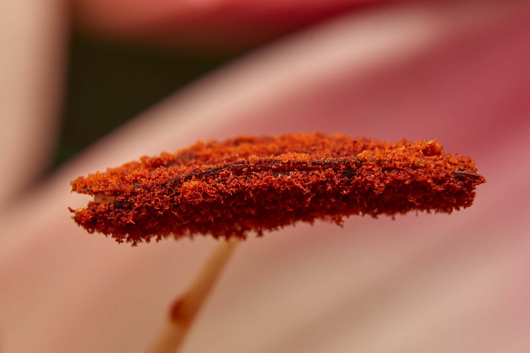 2023-07-15_12_24_38_DSC08420