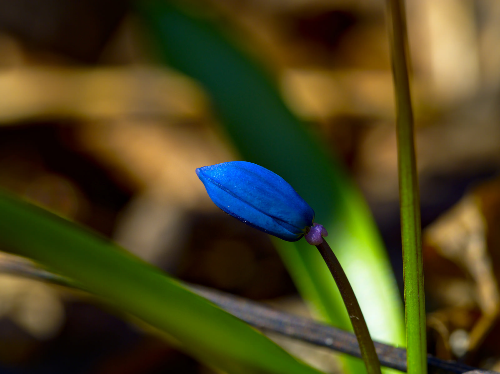 26460467535_14ed97c956_h