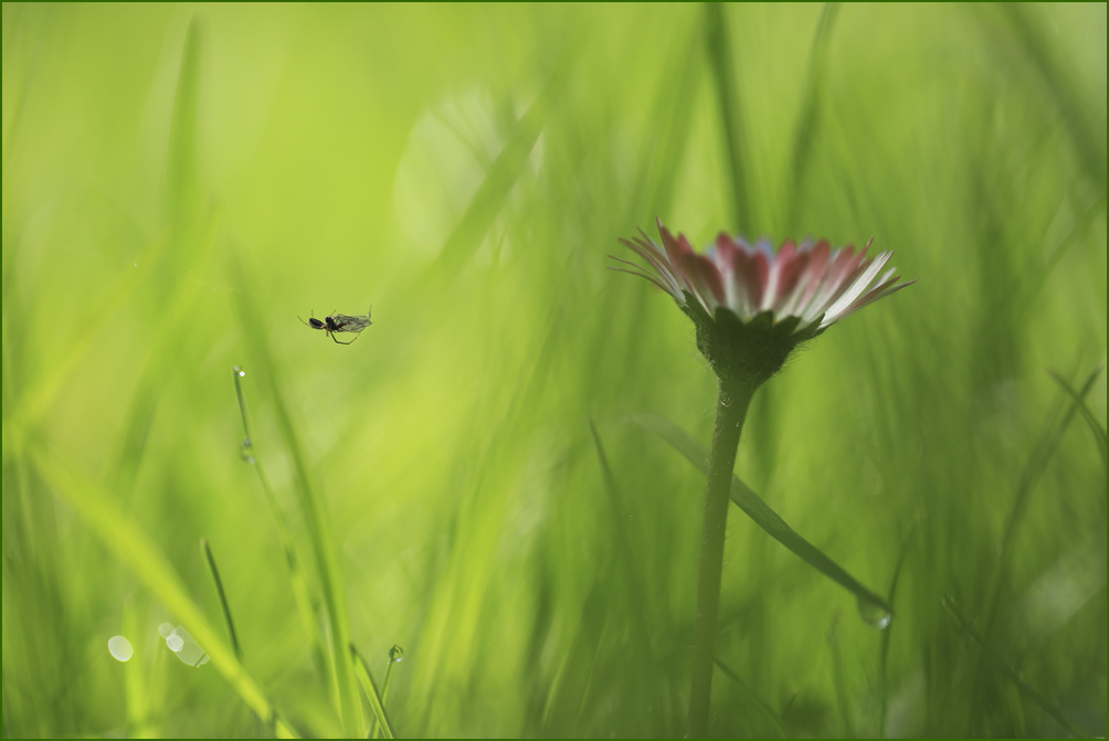 BU7A0636_1_17April2016_Alexander_Zelenko